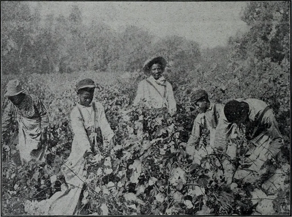 An illustration from Tissus et nouveauts 1908, 1908, leaf 447