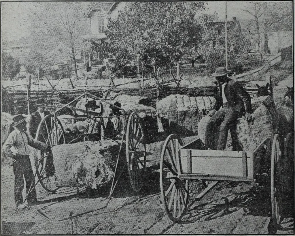 An illustration from Tissus et nouveauts 1908, 1908, leaf 449