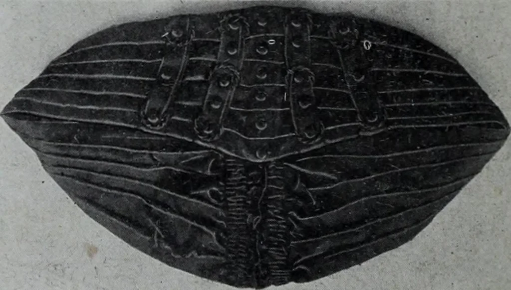 An illustration from Tissus et nouveauts 1908, 1908, leaf 487