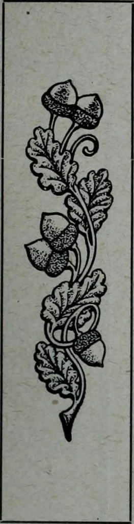 An illustration from Tissus et nouveauts 1908, 1908, leaf 508
