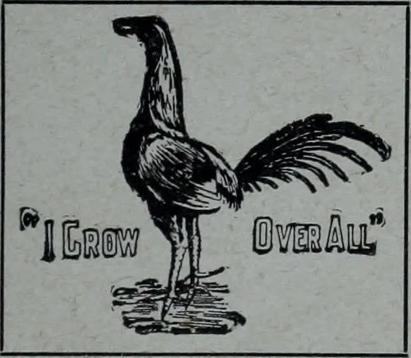 An illustration from Tissus et nouveauts 1908, 1908, leaf 542