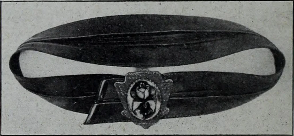 An illustration from Tissus et nouveauts 1908, 1908, leaf 545