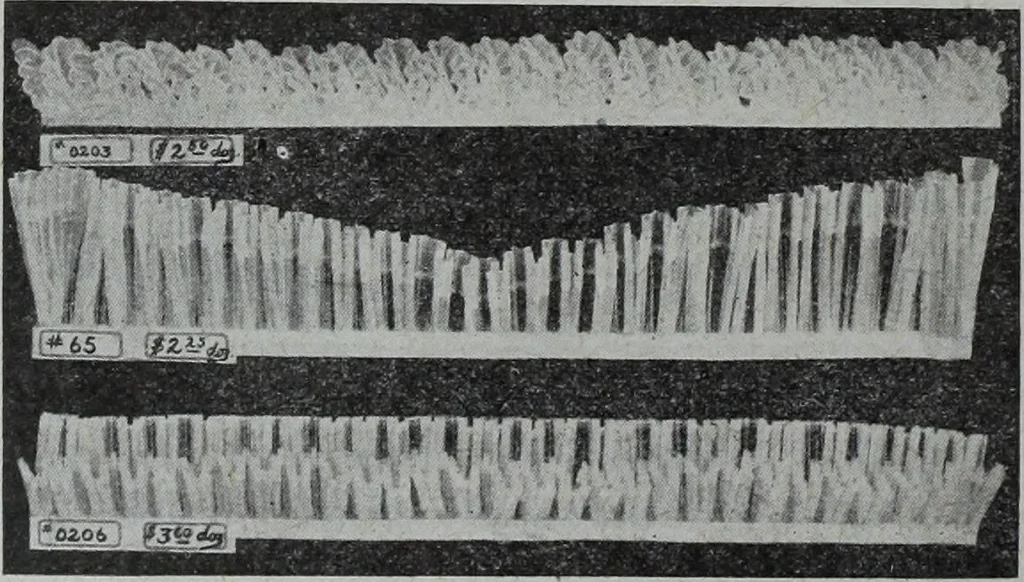 An illustration from Tissus et nouveauts 1908, 1908, leaf 587