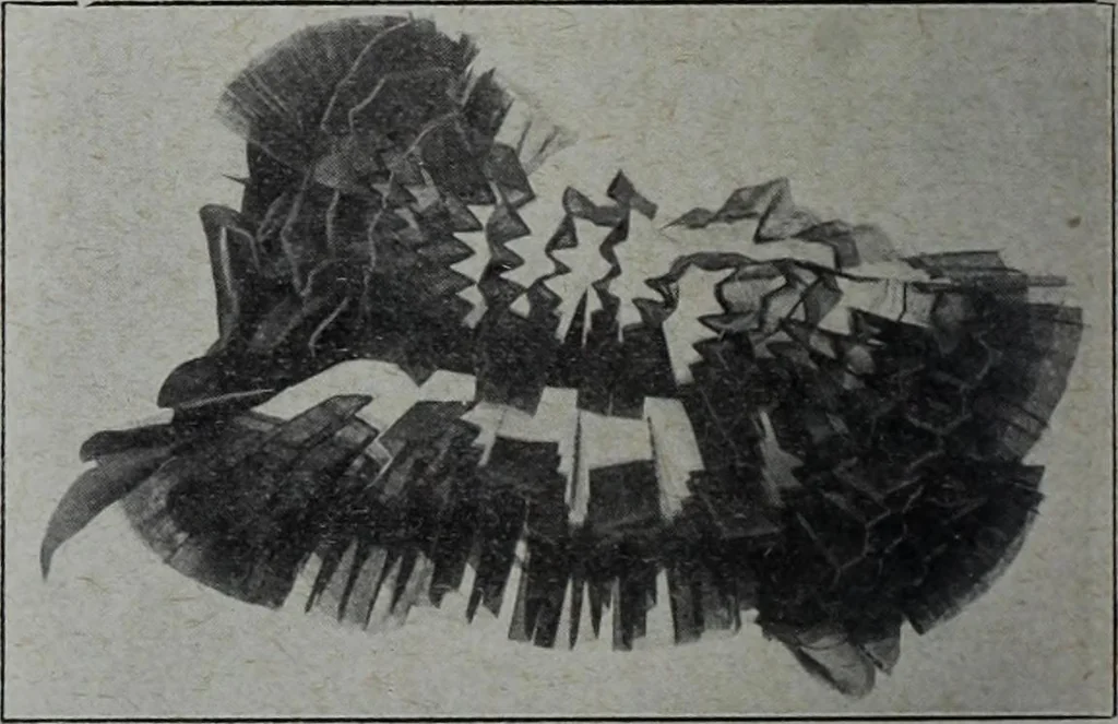 An illustration from Tissus et nouveauts 1908, 1908, leaf 627