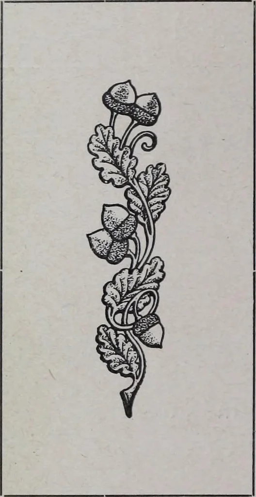 An illustration from Tissus et nouveauts 1908, 1908, leaf 659