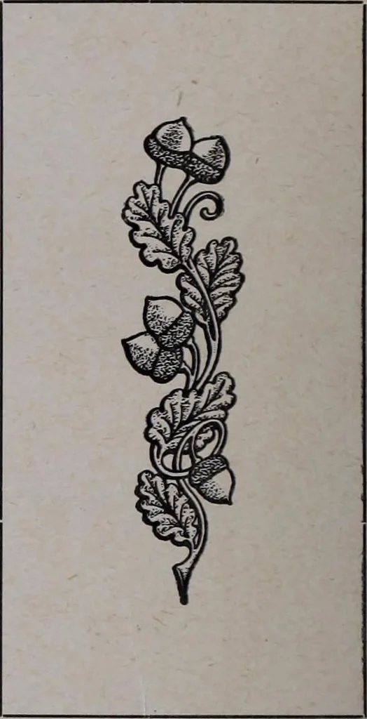 An illustration from Tissus et nouveauts 1908, 1908, leaf 659