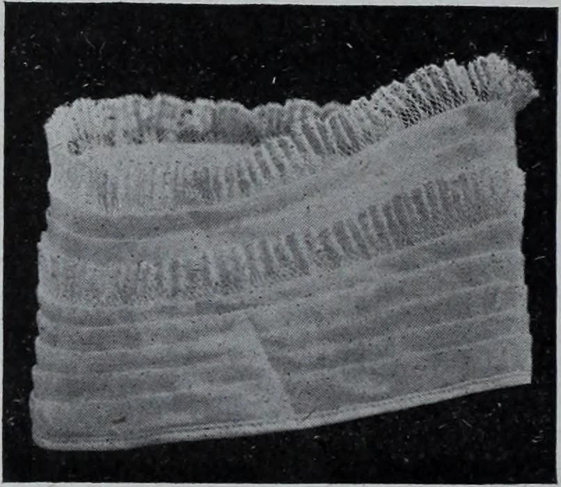 An illustration from Tissus et nouveauts 1909, 1909, leaf 141