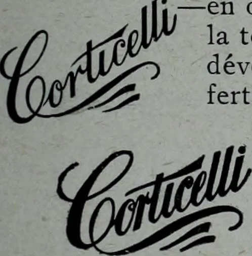 An illustration from Tissus et nouveauts 1909, 1909, leaf 160