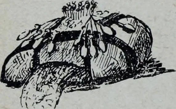 An illustration from Tissus et nouveauts 1909, 1909, leaf 185