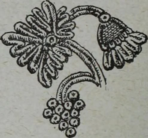 An illustration from Tissus et nouveauts 1909, 1909, leaf 189