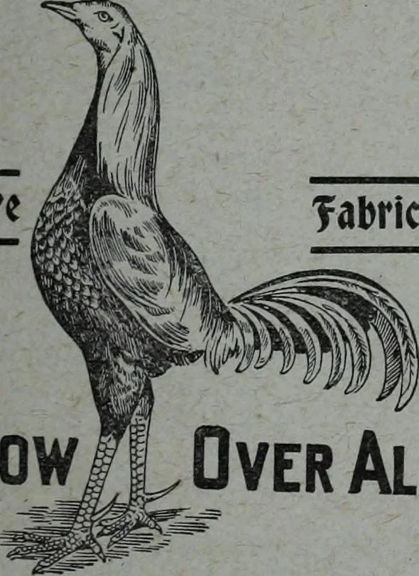 An illustration from Tissus et nouveauts 1909, 1909, leaf 194