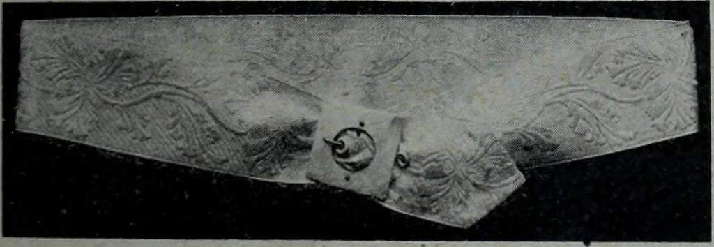 An illustration from Tissus et nouveauts 1909, 1909, leaf 196