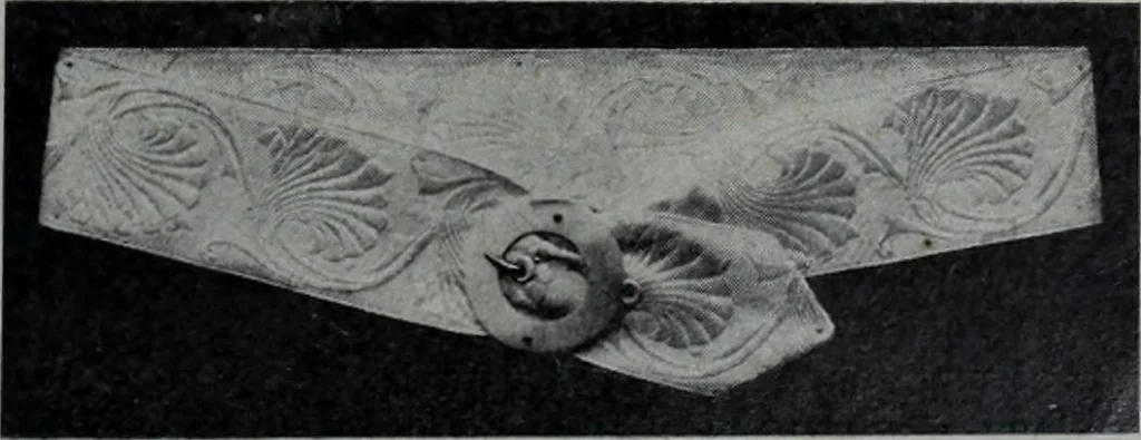 An illustration from Tissus et nouveauts 1909, 1909, leaf 196