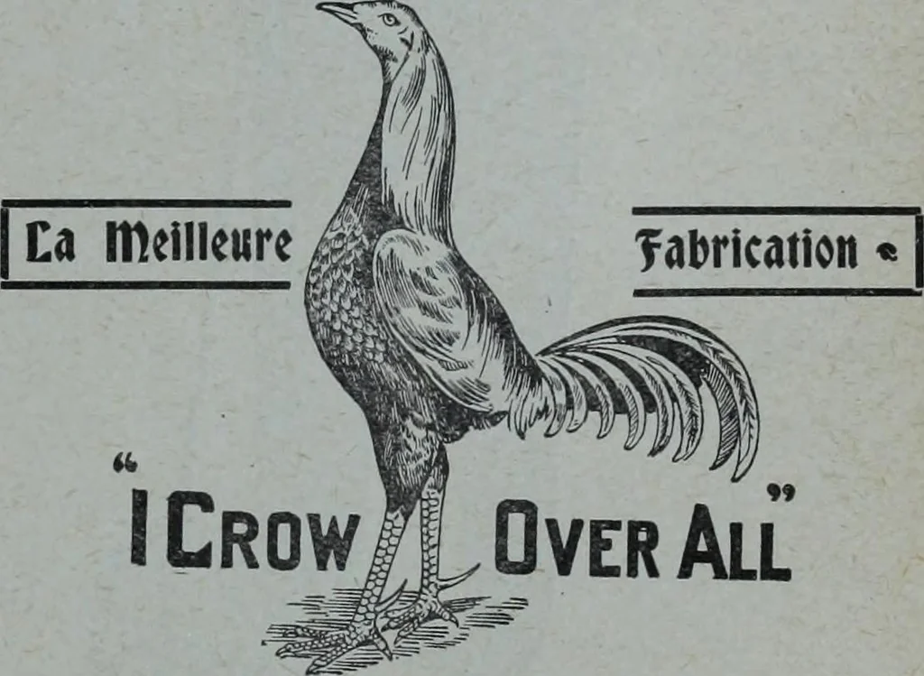 An illustration from Tissus et nouveauts 1909, 1909, leaf 244