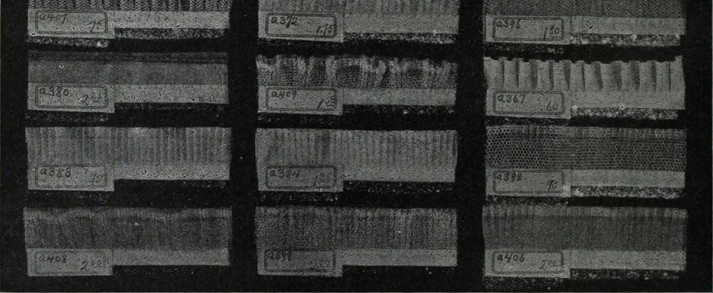 An illustration from Tissus et nouveauts 1909, 1909, leaf 281