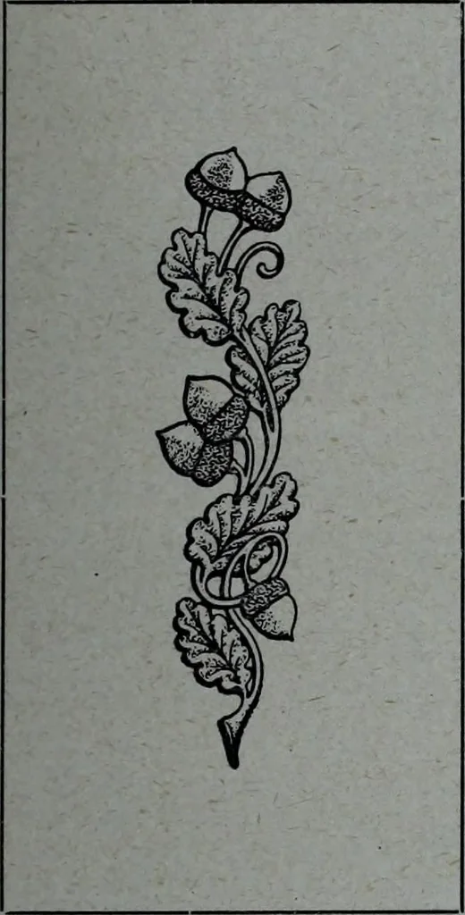 An illustration from Tissus et nouveauts 1909, 1909, leaf 30