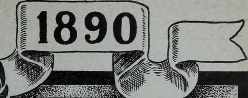 An illustration from Tissus et nouveauts 1909, 1909, leaf 310