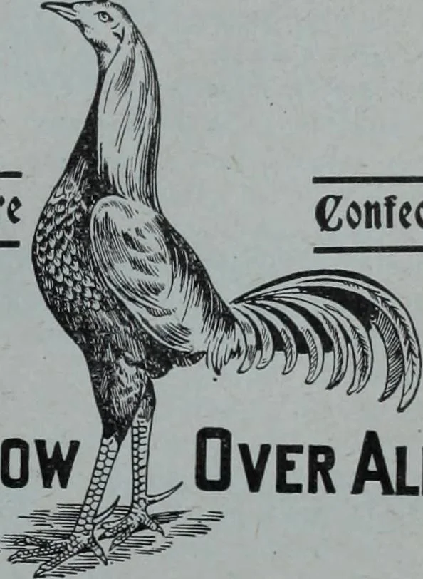 An illustration from Tissus et nouveauts 1909, 1909, leaf 338