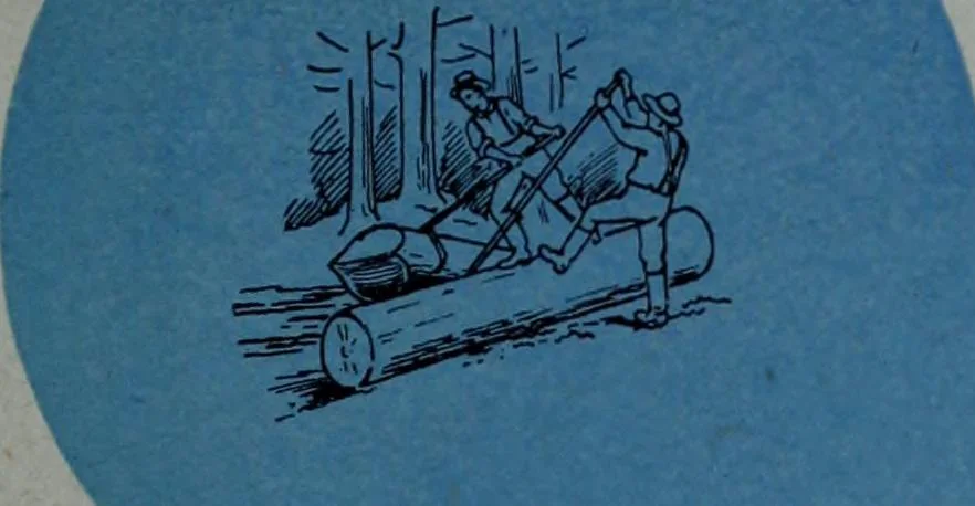 An illustration from Tissus et nouveauts 1909, 1909, leaf 34
