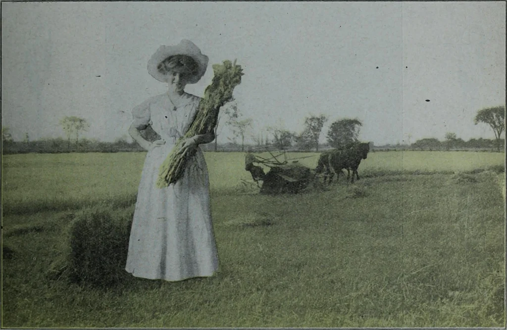 An illustration from Tissus et nouveauts 1909, 1909, leaf 390