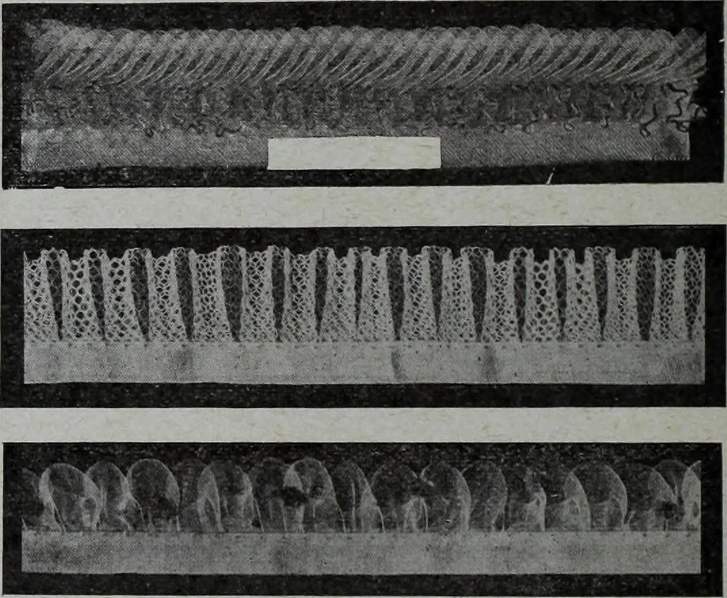 An illustration from Tissus et nouveauts 1909, 1909, leaf 475