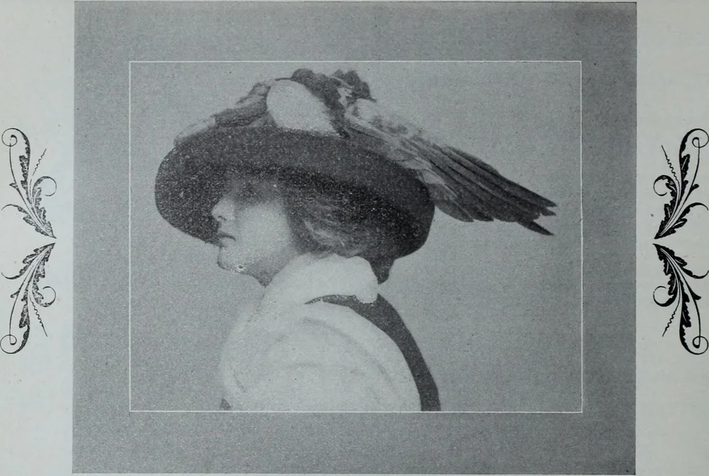 An illustration from Tissus et nouveauts 1909, 1909, leaf 523