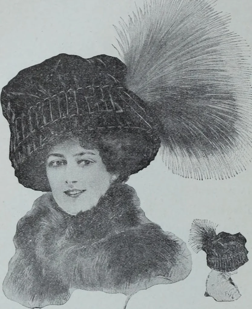An illustration from Tissus et nouveauts 1909, 1909, leaf 527