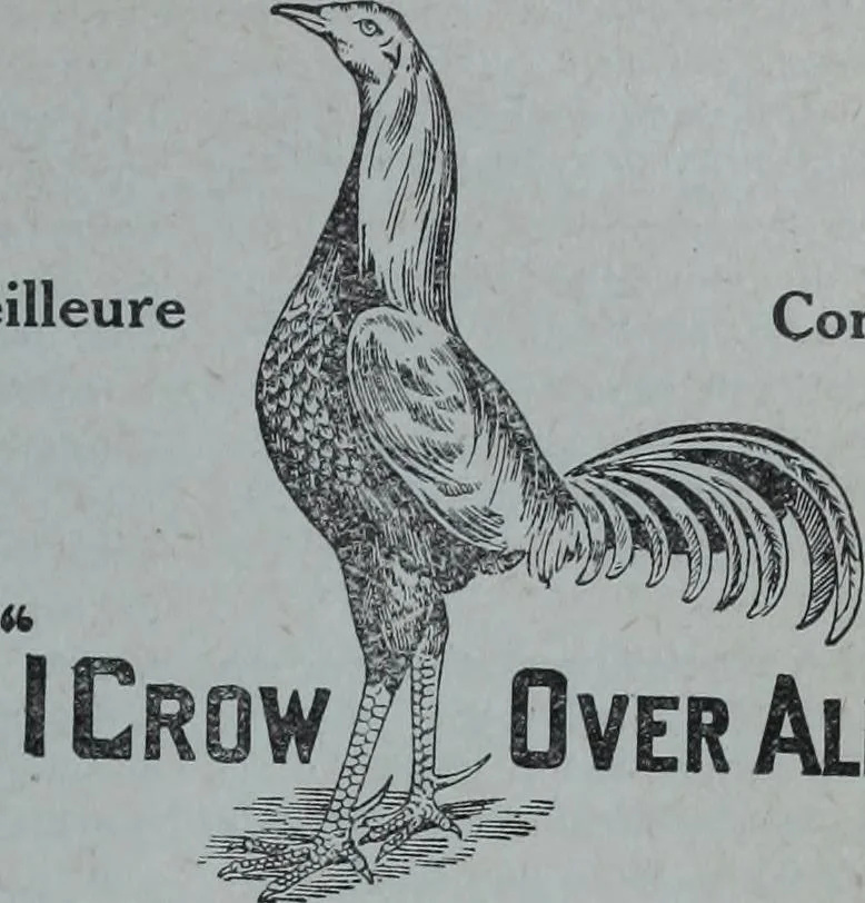 An illustration from Tissus et nouveauts 1909, 1909, leaf 600