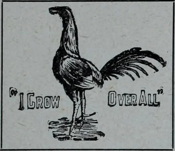 An illustration from Tissus et nouveauts 1909, 1909, leaf 88