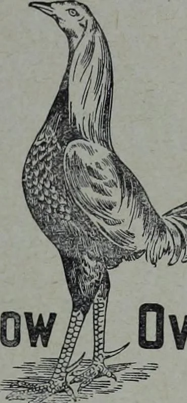 An illustration from Tissus et nouveauts 1910, 1910, leaf 112