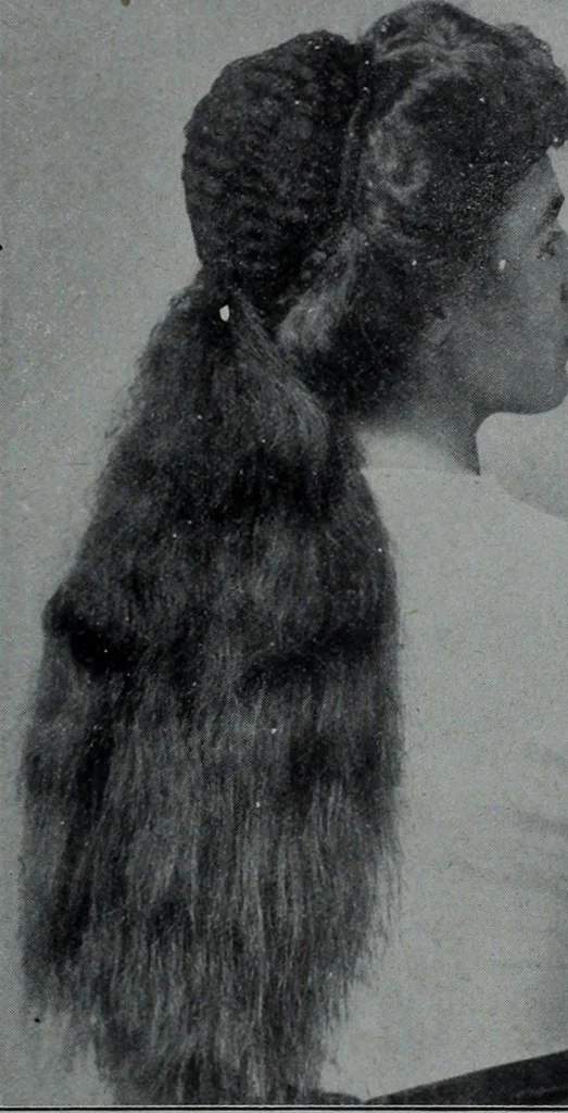 An illustration from Tissus et nouveauts 1910, 1910, leaf 144
