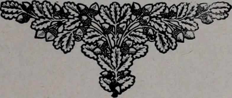 An illustration from Tissus et nouveauts 1910, 1910, leaf 158