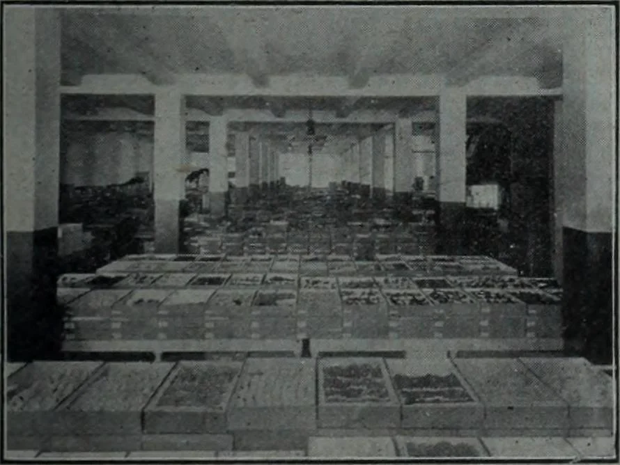 An illustration from Tissus et nouveauts 1910, 1910, leaf 188