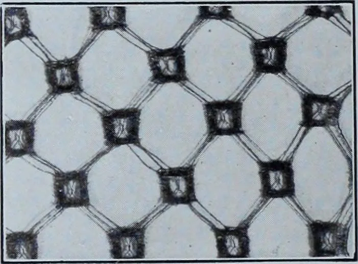 An illustration from Tissus et nouveauts 1910, 1910, leaf 299