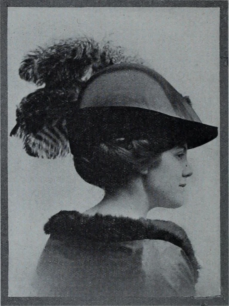 An illustration from Tissus et nouveauts 1910, 1910, leaf 455