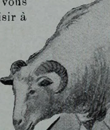 An illustration from Tissus et nouveauts 1910, 1910, leaf 482