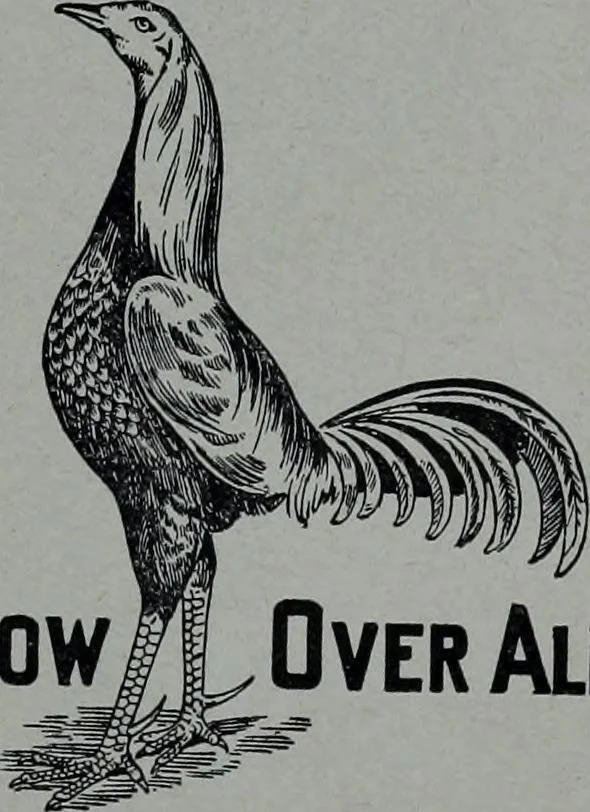 An illustration from Tissus et nouveauts 1910, 1910, leaf 70