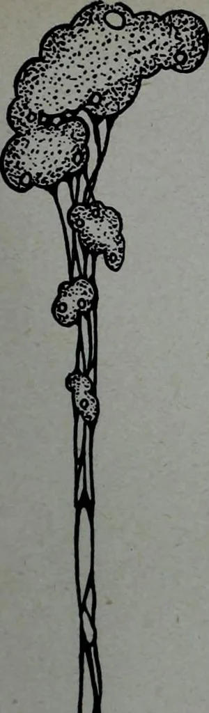 An illustration from Tissus et nouveauts 1910, 1910, leaf 92