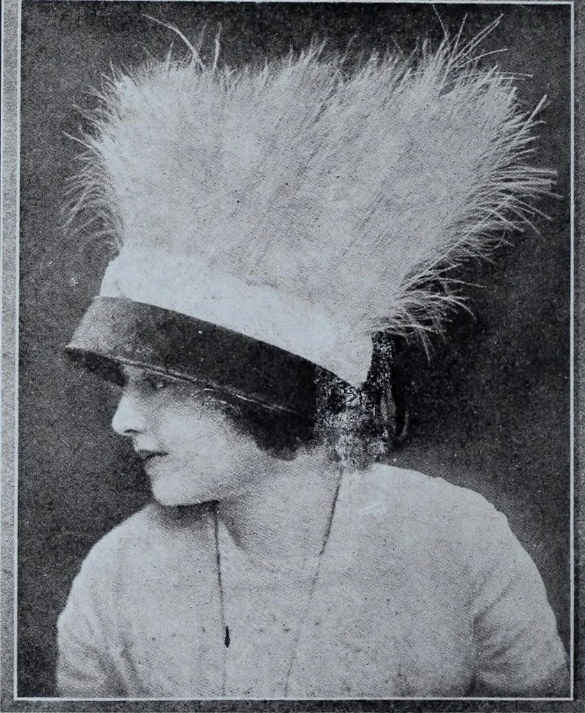 An illustration from Tissus et nouveauts 1911, 1911, leaf 311