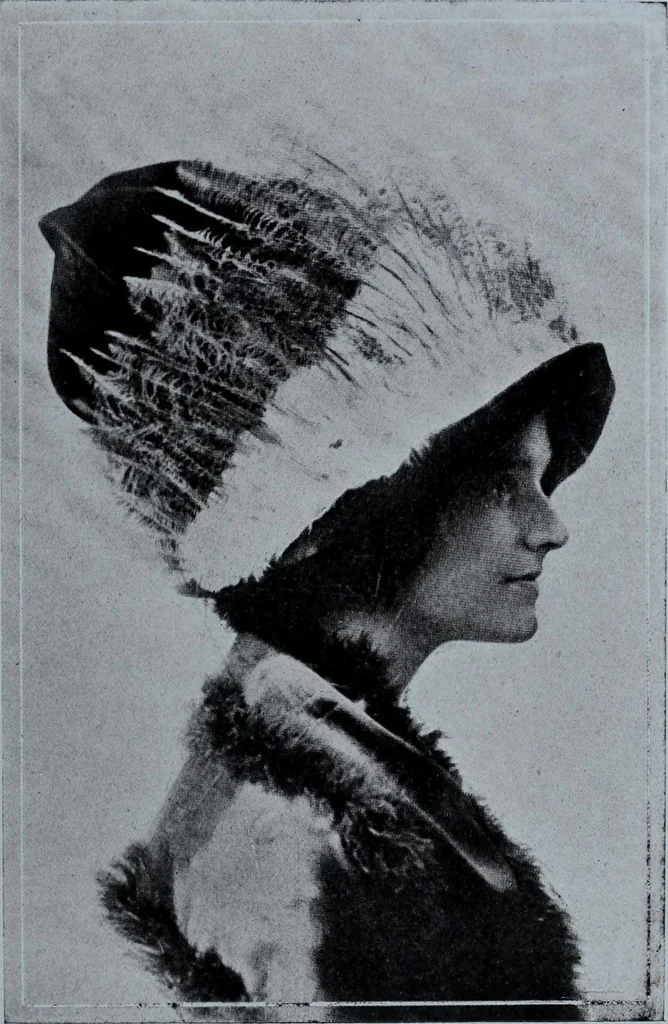 An illustration from Tissus et nouveauts 1911, 1911, leaf 392
