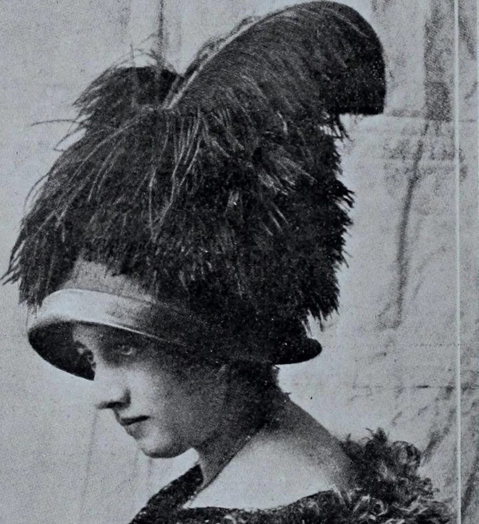 An illustration from Tissus et nouveauts 1911, 1911, leaf 411