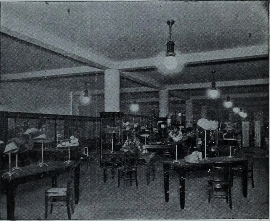 An illustration from Tissus et nouveauts 1911, 1911, leaf 44