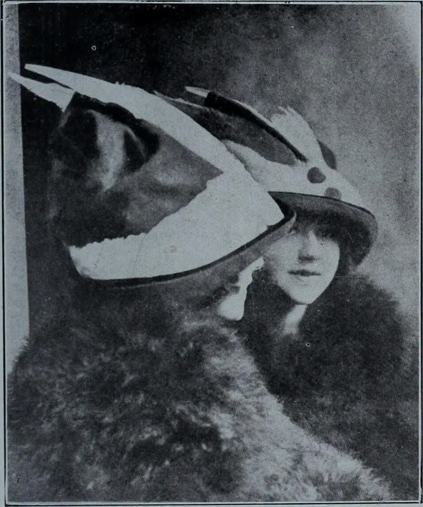 An illustration from Tissus et nouveauts 1911, 1911, leaf 542