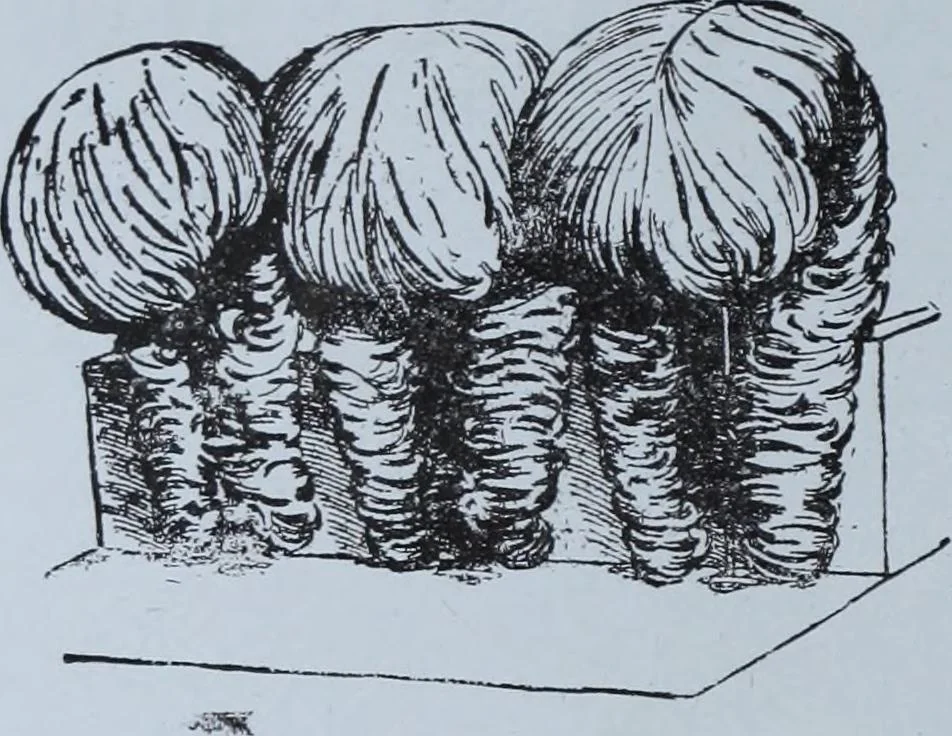 An illustration from Tissus et nouveauts 1912, 1912, leaf 47