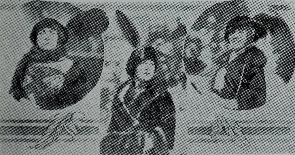 An illustration from Tissus et nouveauts 1912, 1912, leaf 496