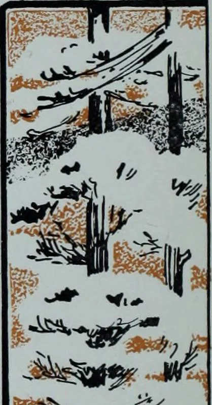 An illustration from Tissus et nouveauts 1912, 1912, leaf 505