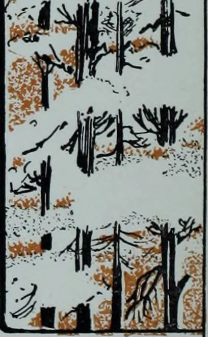 An illustration from Tissus et nouveauts 1912, 1912, leaf 505