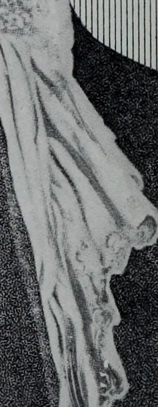An illustration from Tissus et nouveauts 1913, 1913, leaf 363
