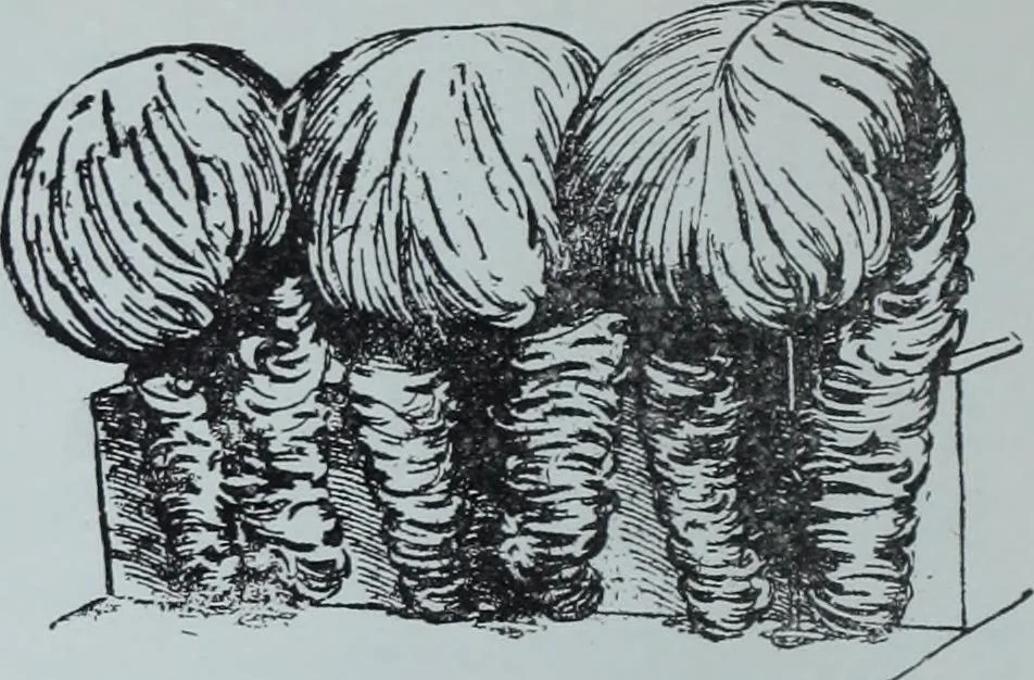 An illustration from Tissus et nouveauts 1913, 1913, leaf 47