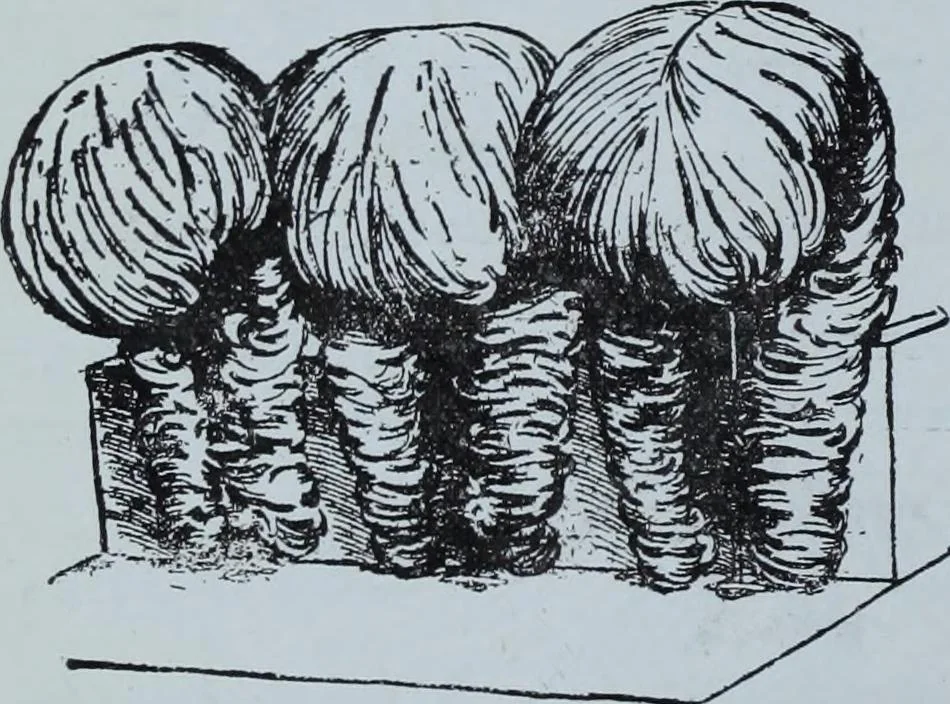 An illustration from Tissus et nouveauts 1913, 1913, leaf 97